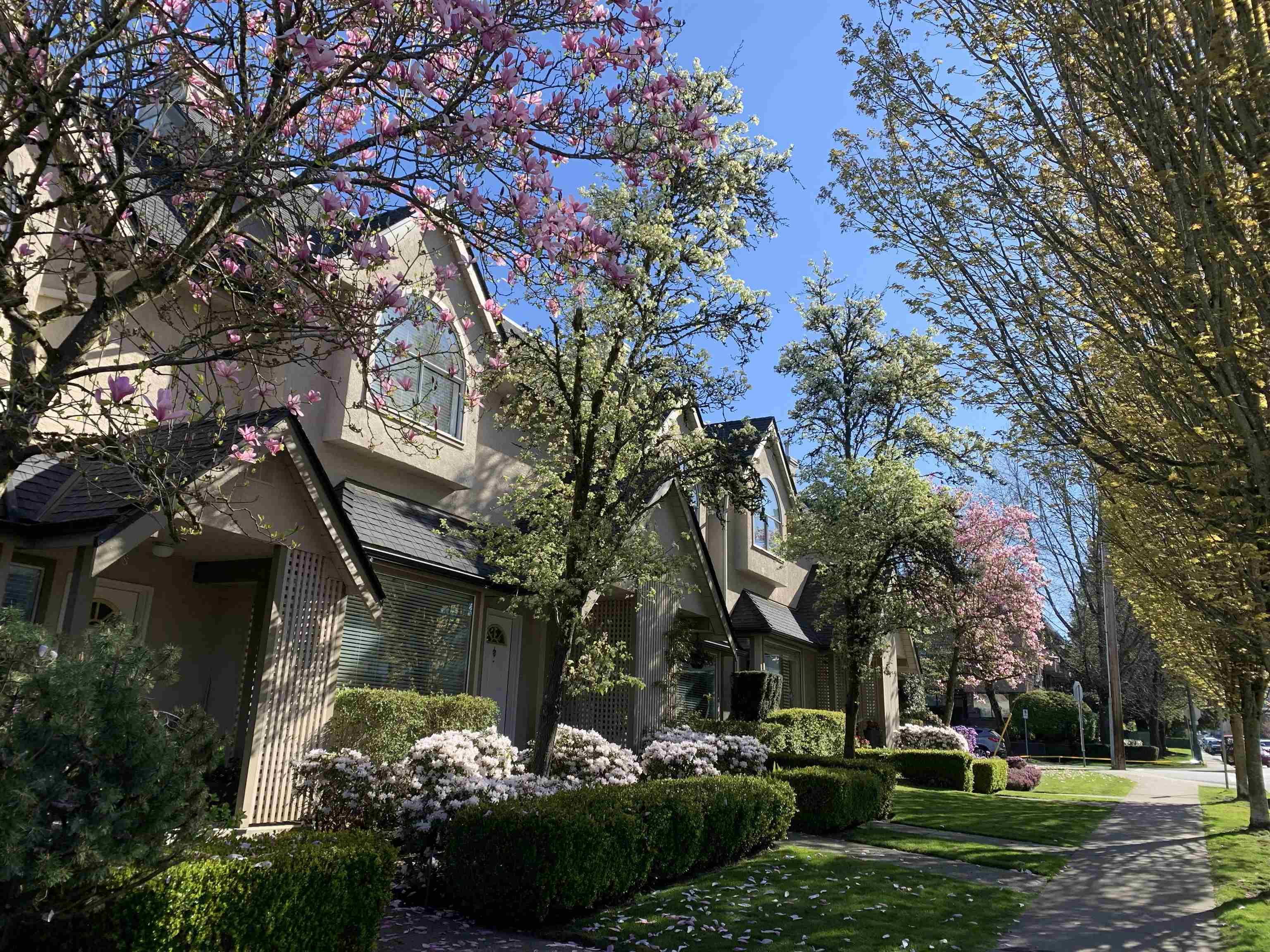 mls:R3144001 Property Address: 4 1701 CHESTERFIELD AVENUE, North Vancouver BC V7M 2N9