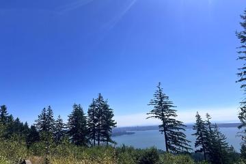 Listing Image for R3035705