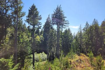 Listing Image for R3053719