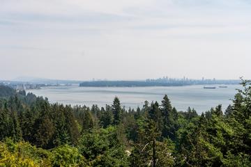 Listing Image for R3076464