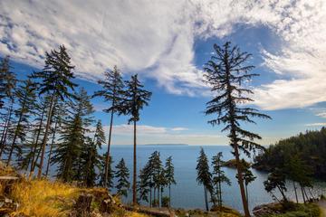 Listing Image for R3086750