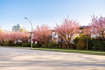 Listing Image for R3097381