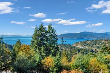 Listing Image for R3099339