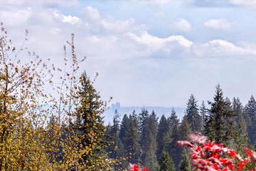 Listing Image for R3111251
