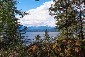 Listing Image for R3111634
