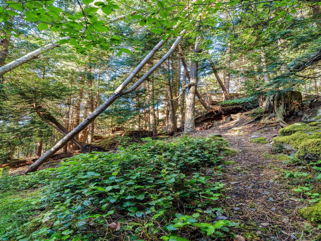 Listing Image for R2804535