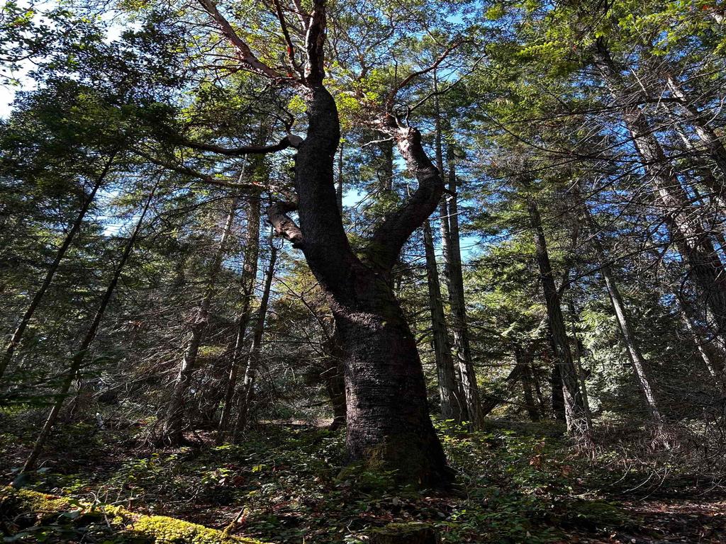 Listing Image for R2813828