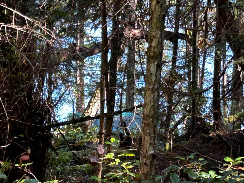 Listing Image for R2813828