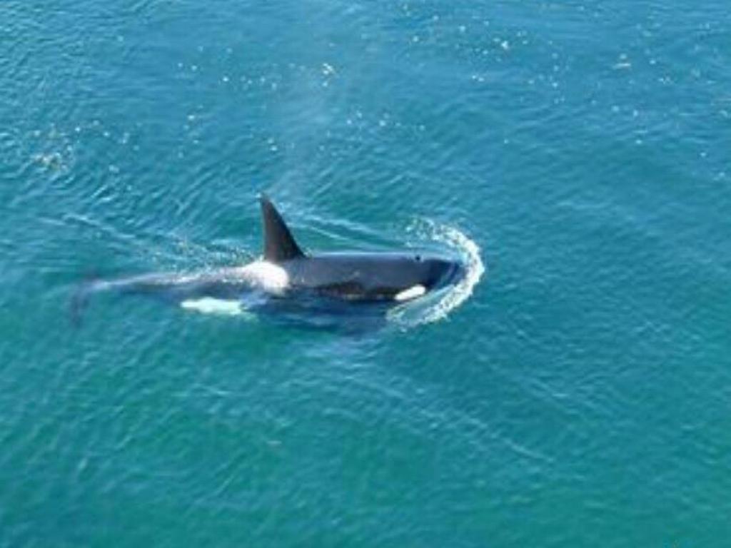 Listing Image for R2820072