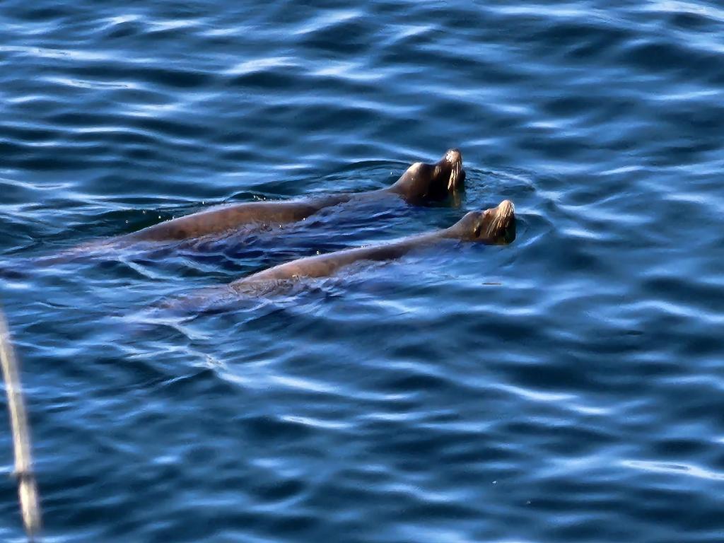 Listing Image for R2820072