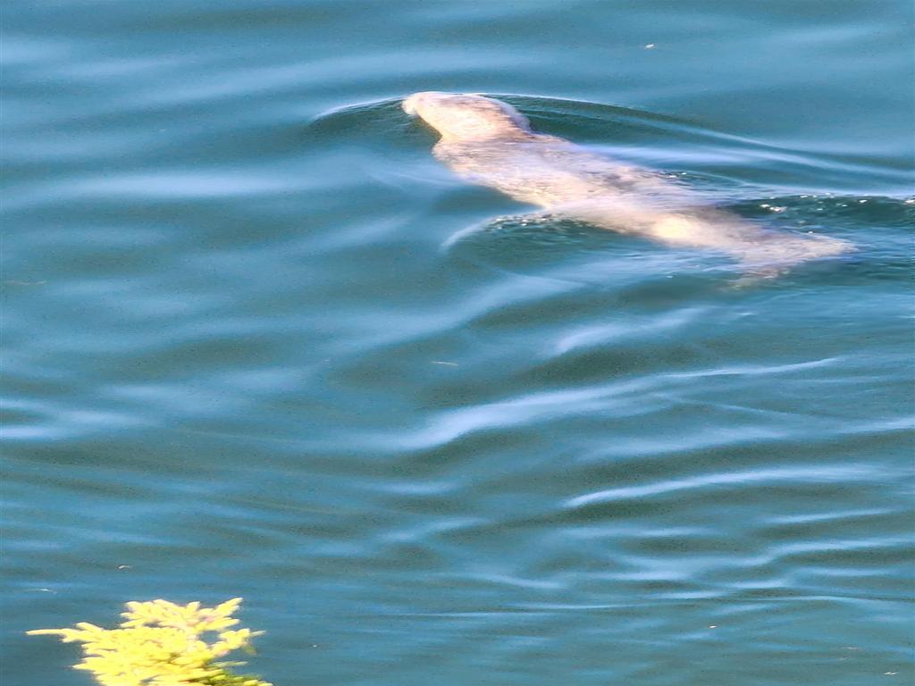 Listing Image for R2820072