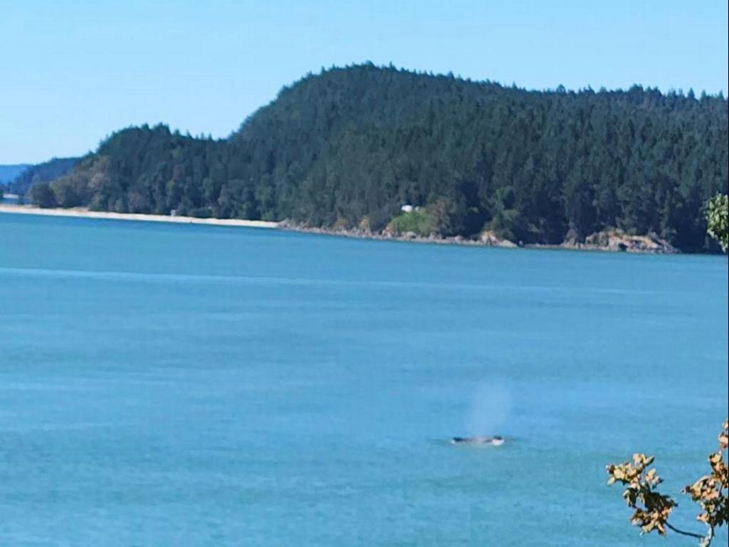 Listing Image for R2820072