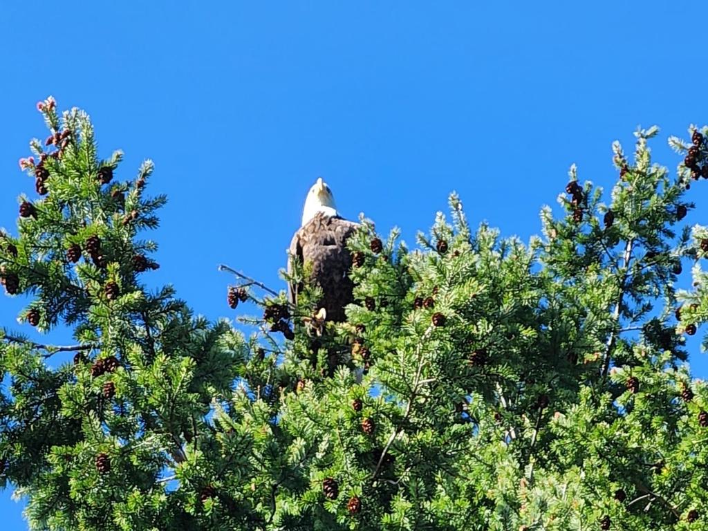 Listing Image for R2820072