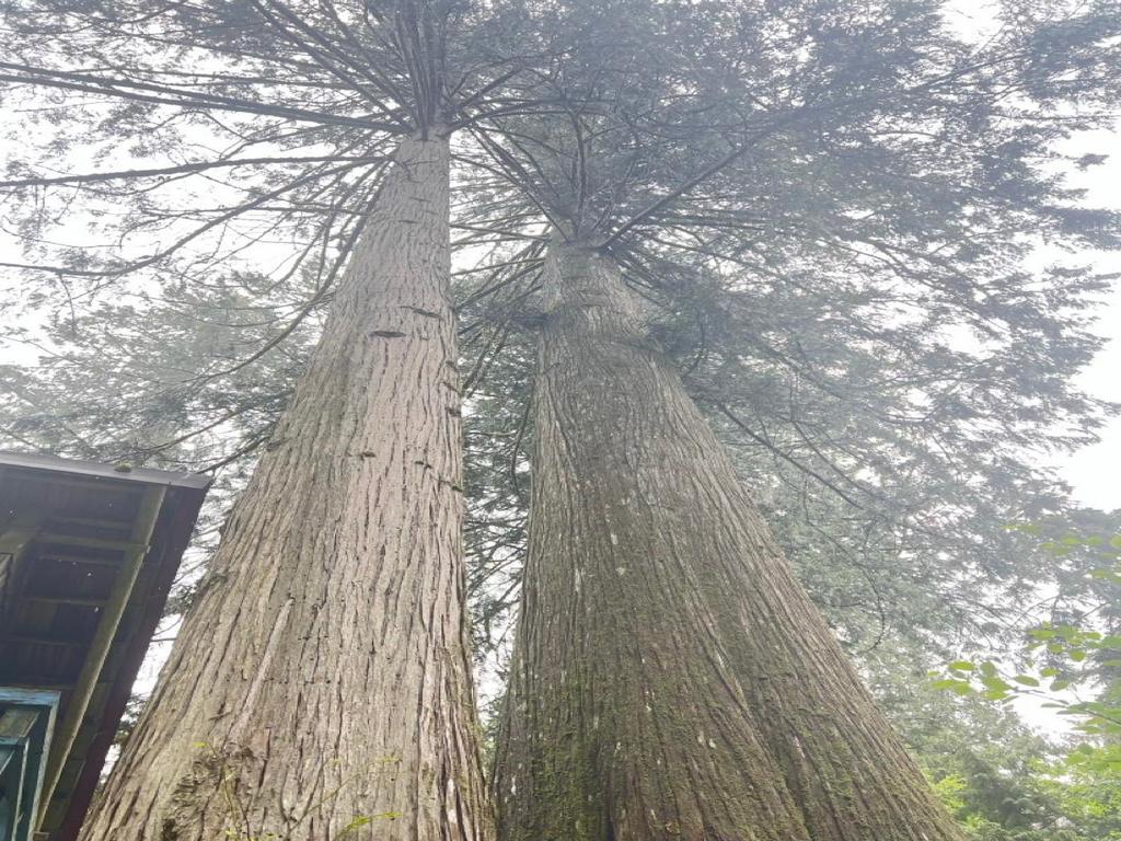 Listing Image for R2894669