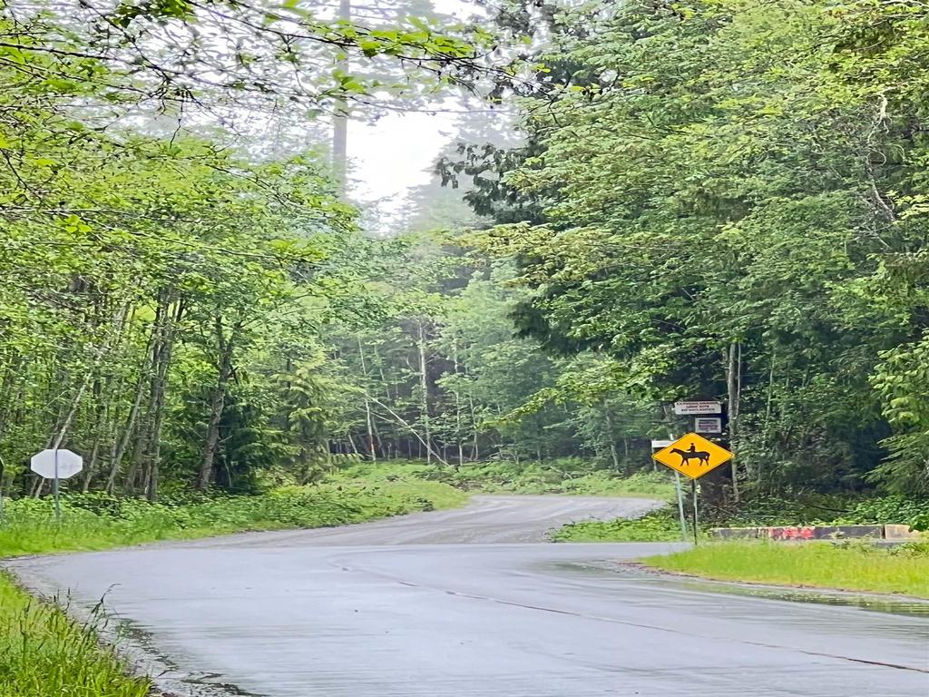 Listing Image for R2894669