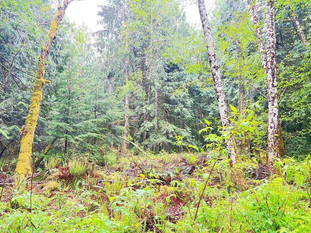 Listing Image for R2894669