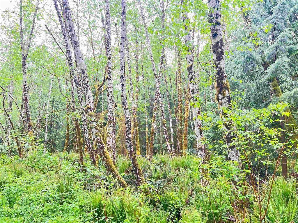 Listing Image for R2894669