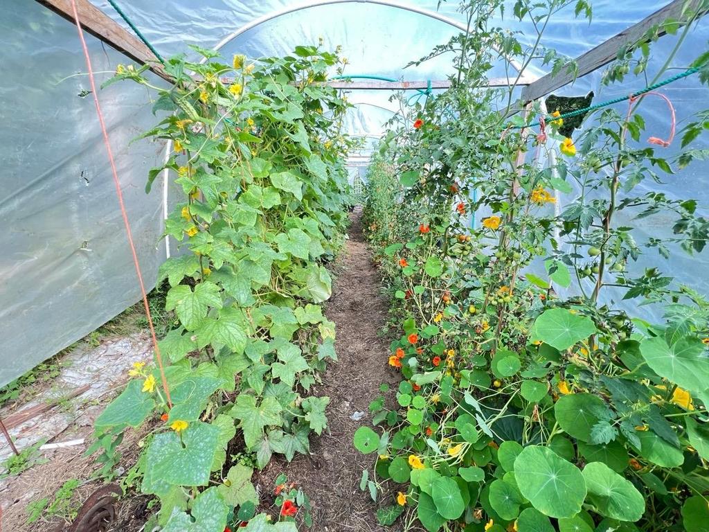 Listing Image for R2894669