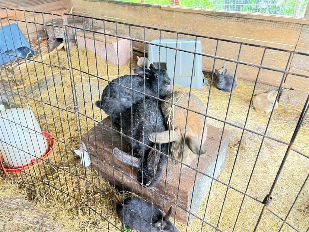 Listing Image for R2894669