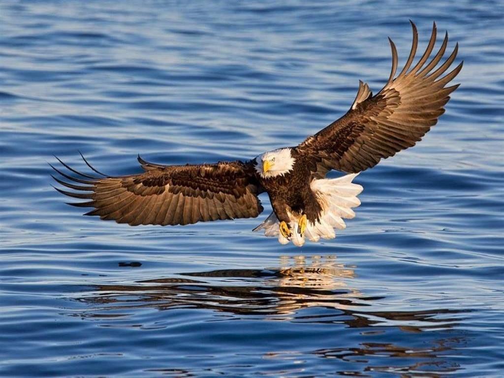 Listing Image for R2937706