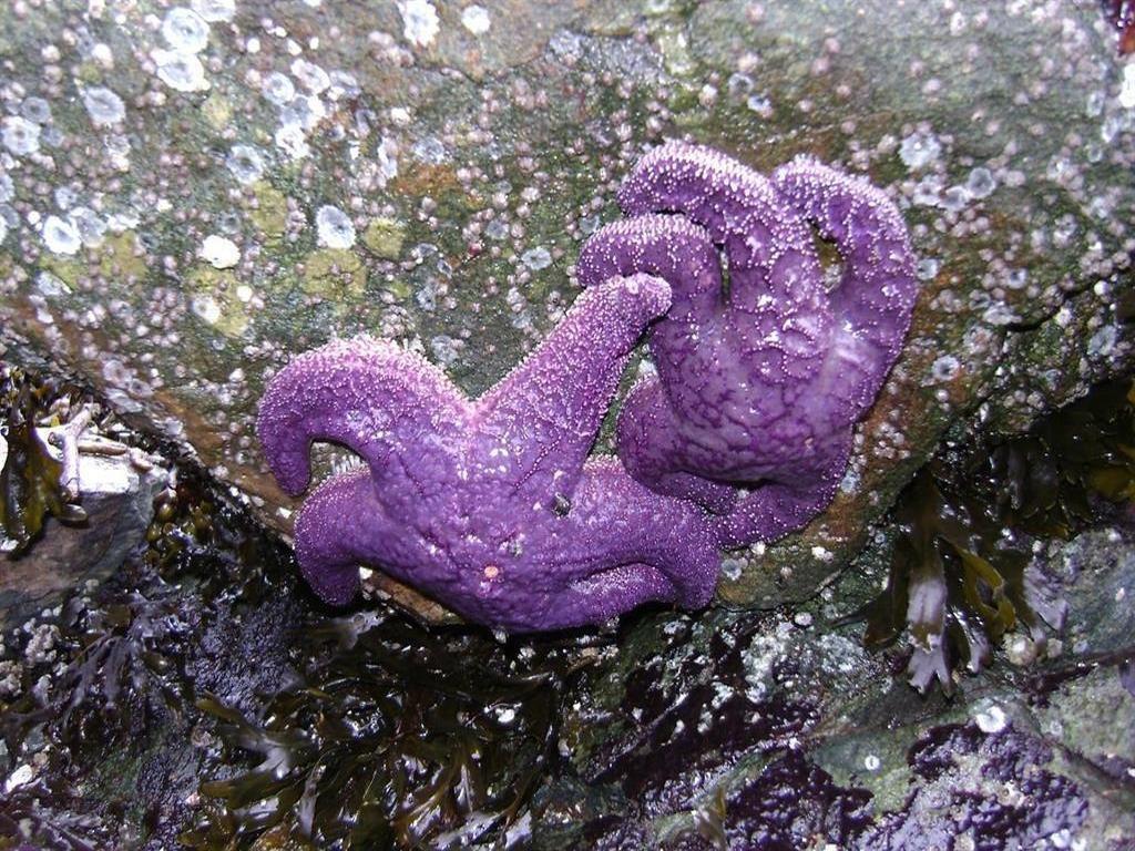 Listing Image for R2937706