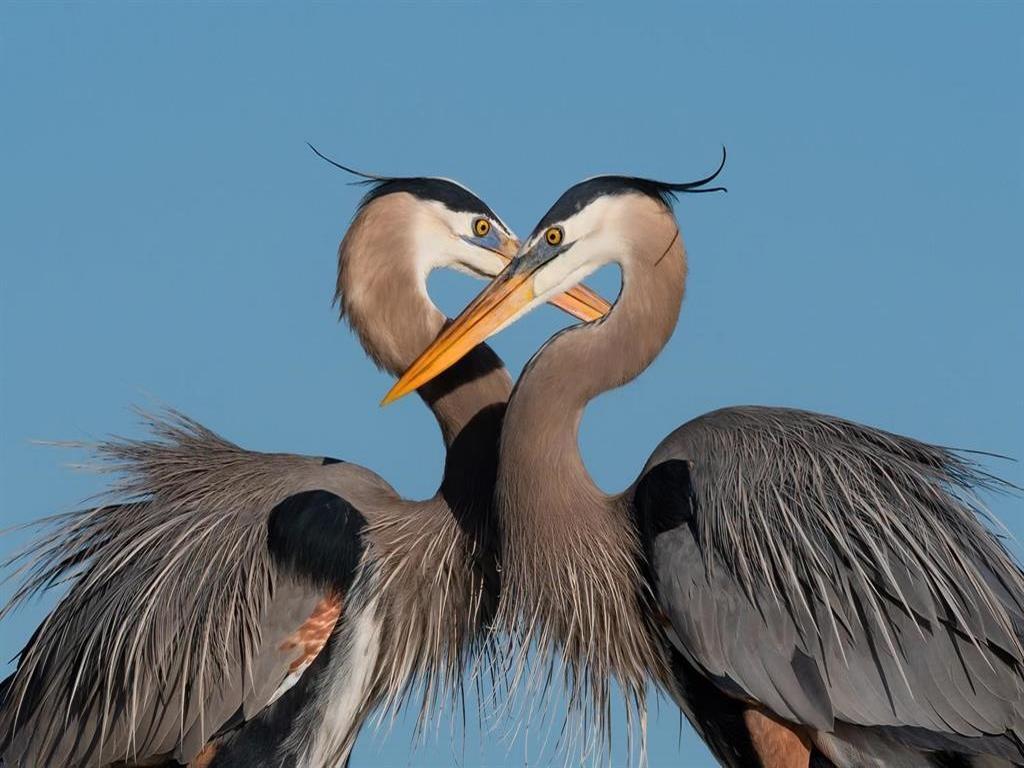 Listing Image for R2937706