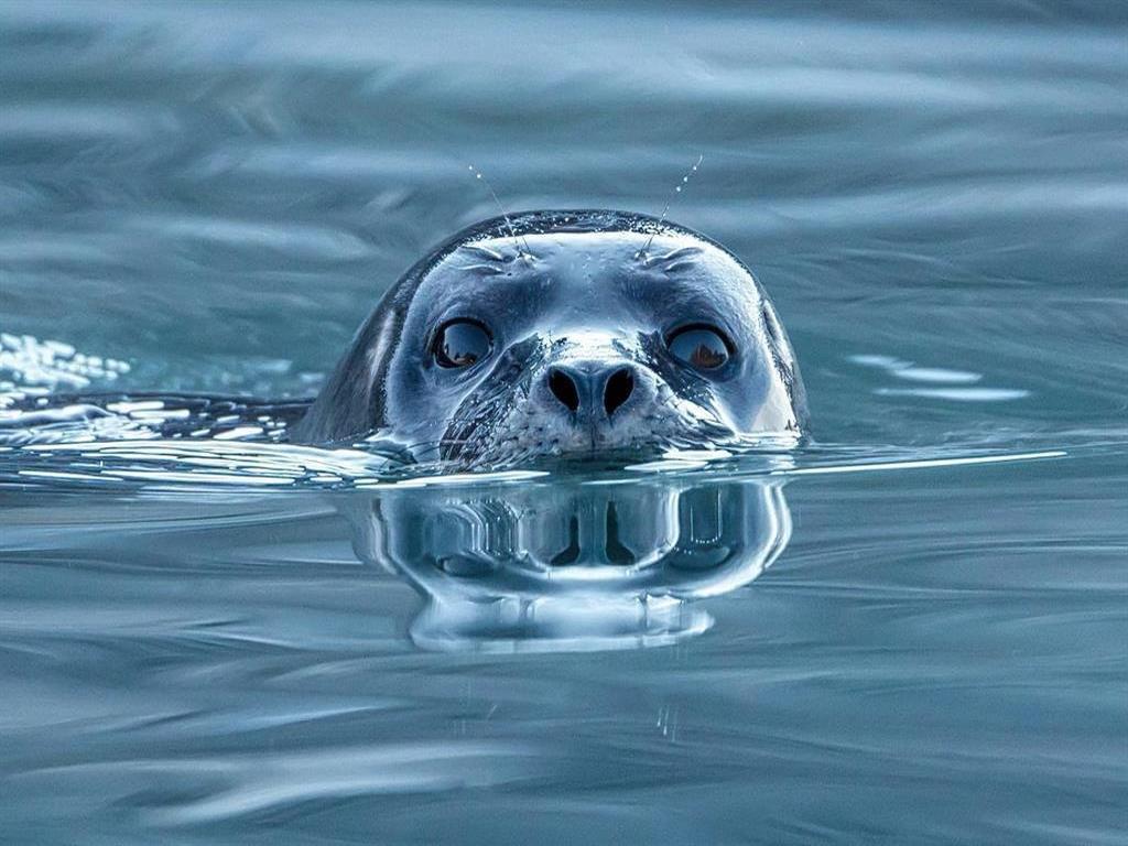 Listing Image for R2937706