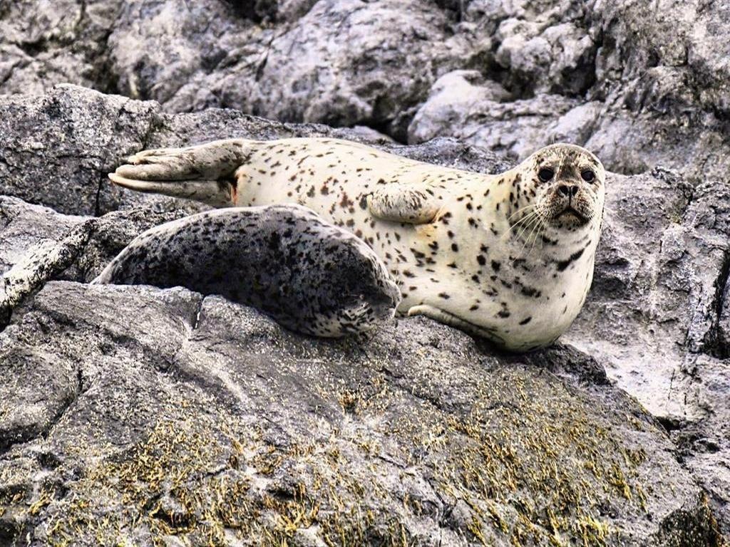 Listing Image for R2937706