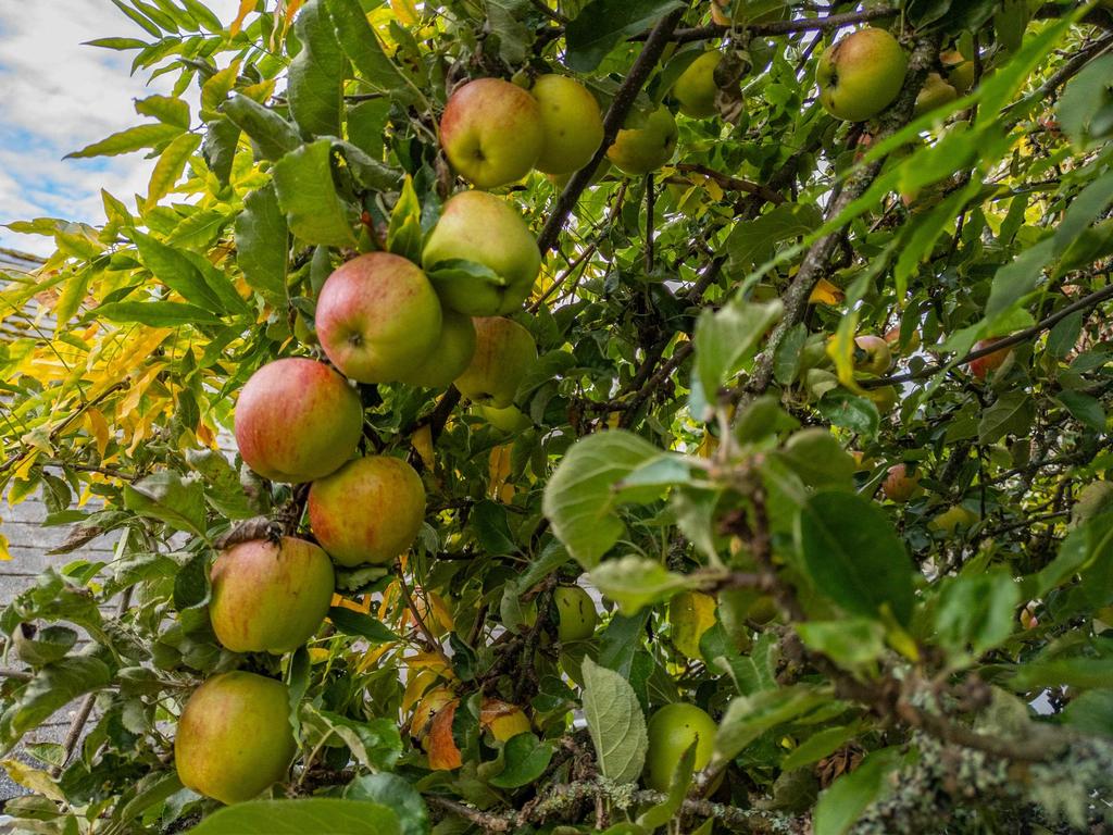 Listing Image for R2939136