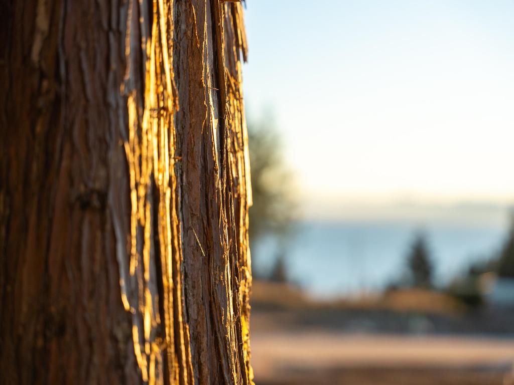 Listing Image for R2970207