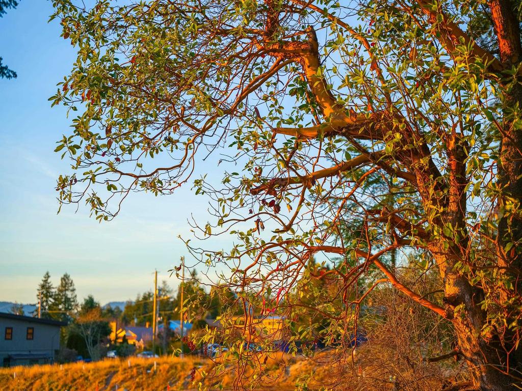 Listing Image for R2970207