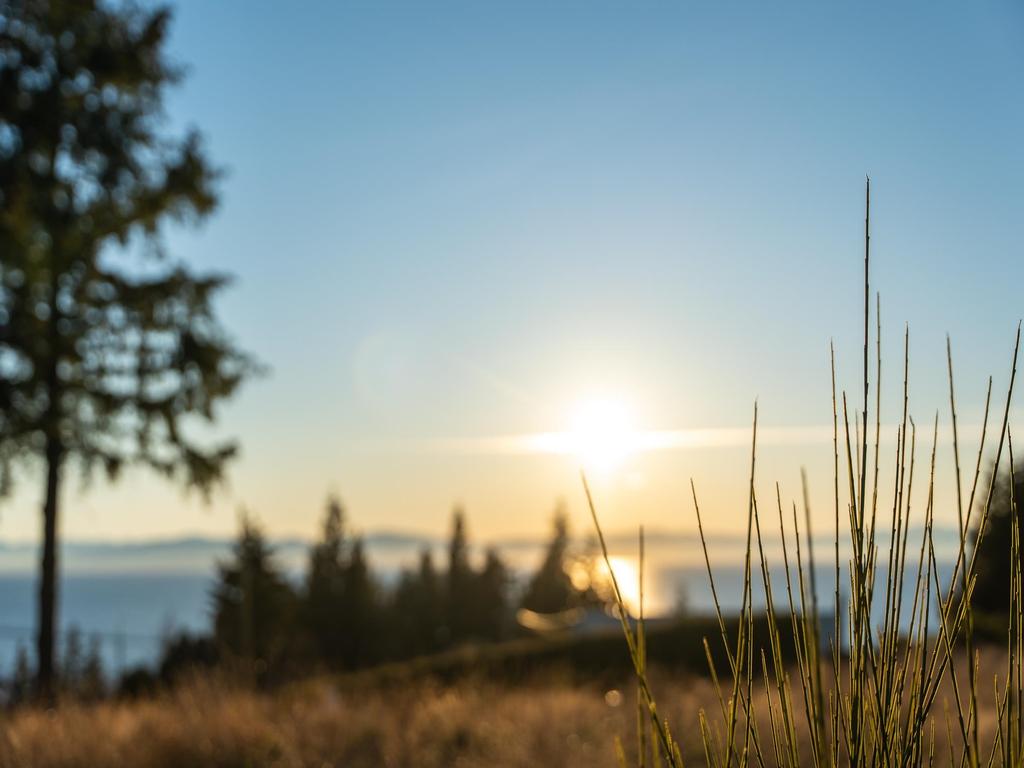 Listing Image for R2970212