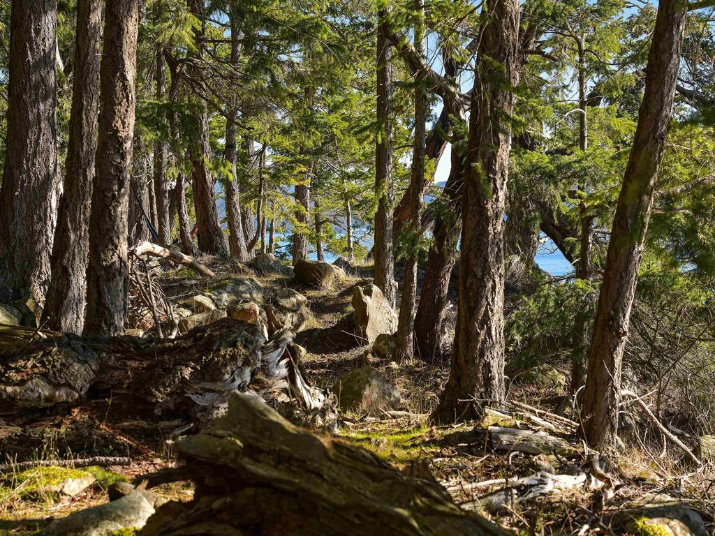 Listing Image for R2974686