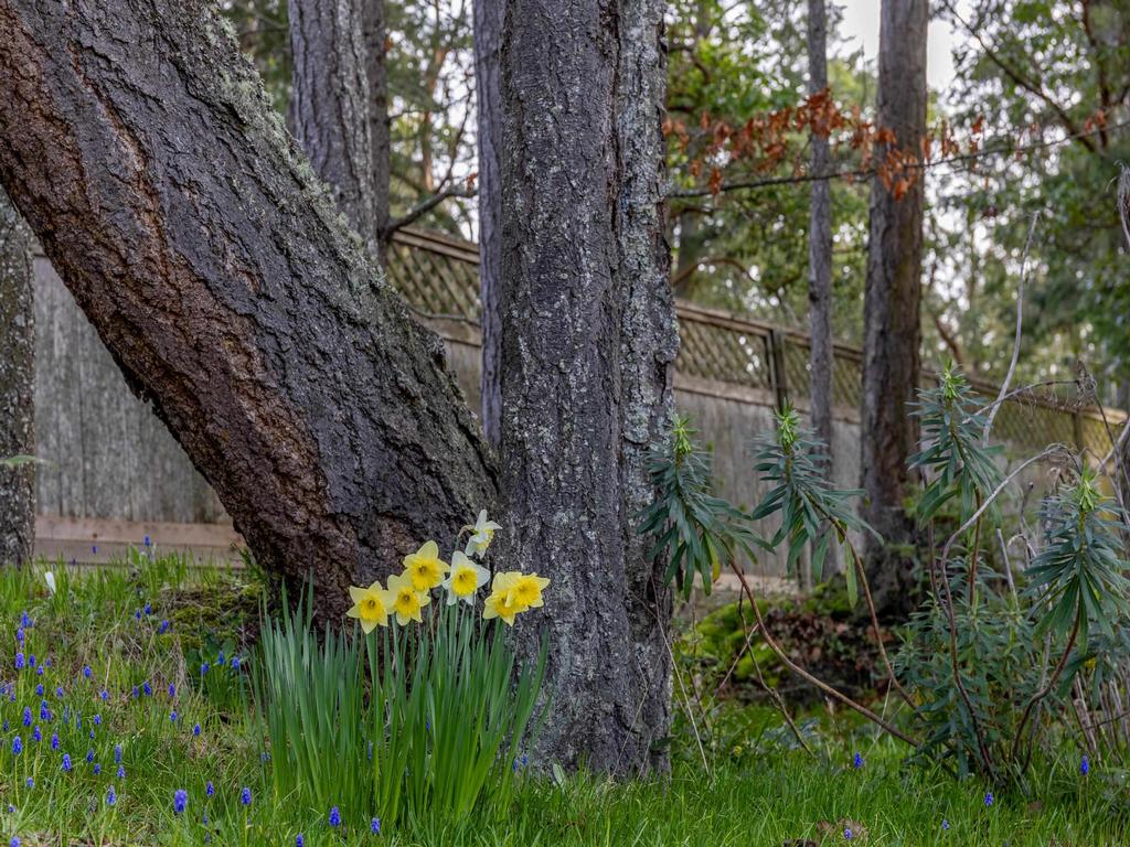 Listing Image for R2981056