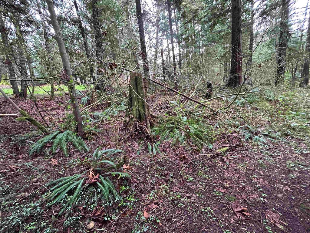 Listing Image for R2981682