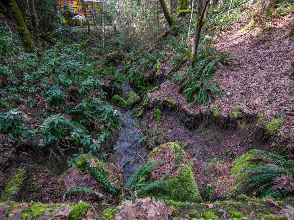 Listing Image for R2982200