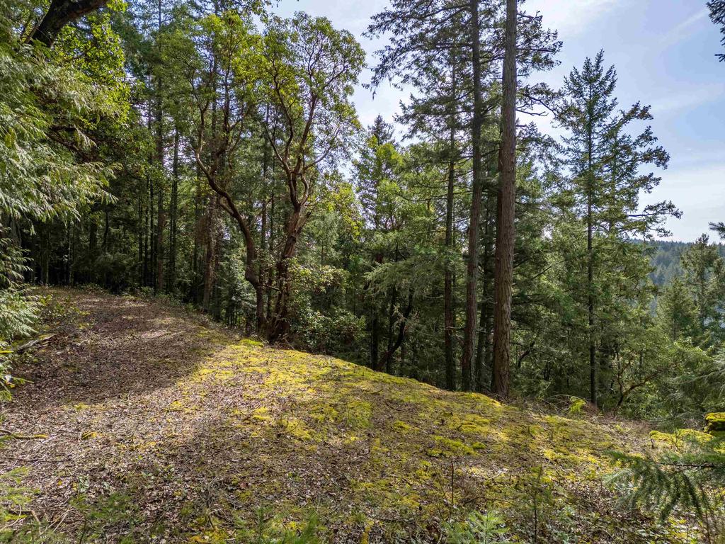 Listing Image for R2982200