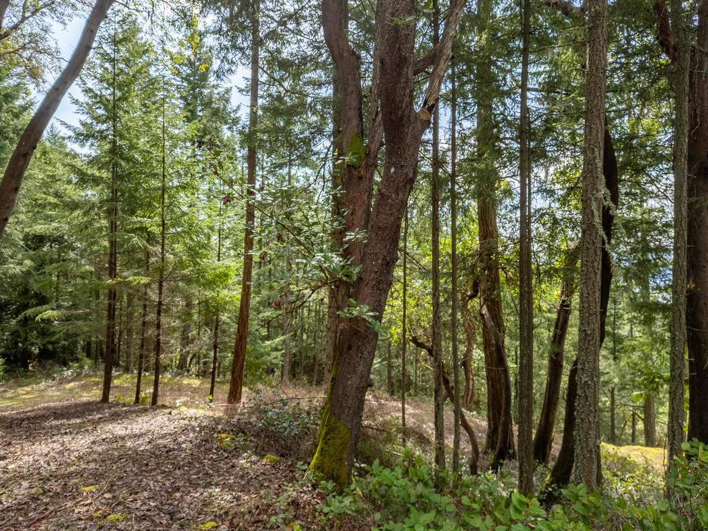 Listing Image for R2982200