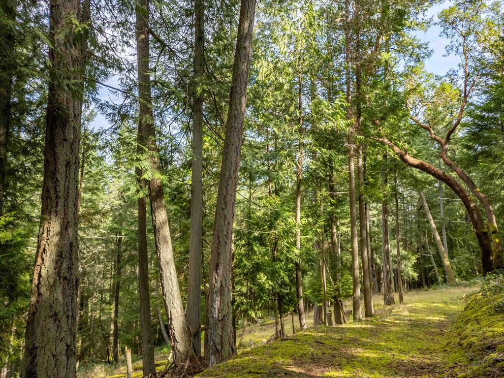 Listing Image for R2982200