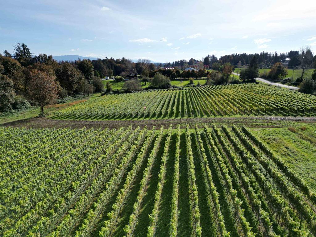 Listing Image for R2989964