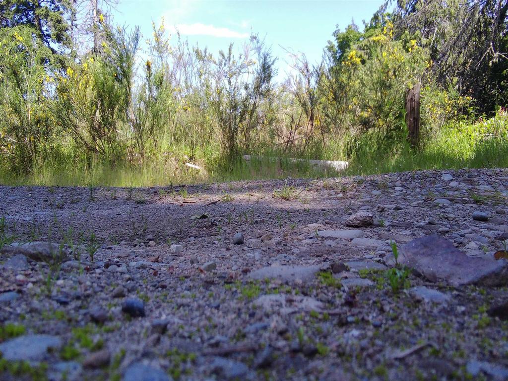 Listing Image for R2991033