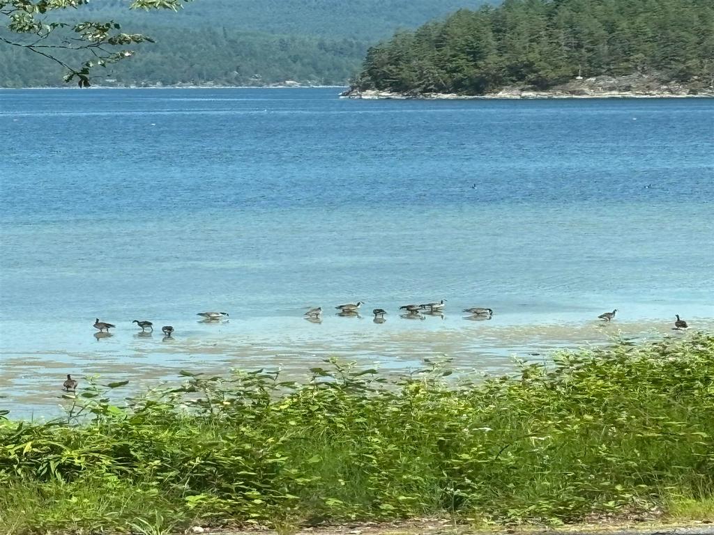 Listing Image for R2991256