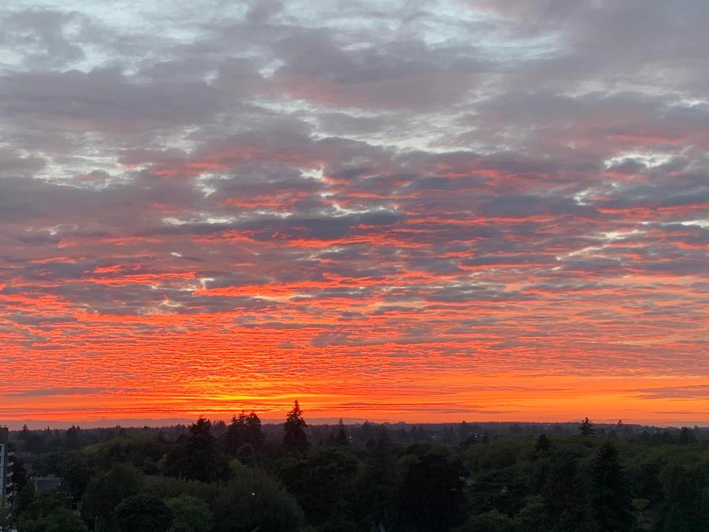 Listing Image for R2994127