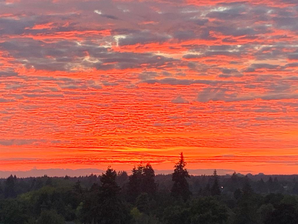 Listing Image for R2994127