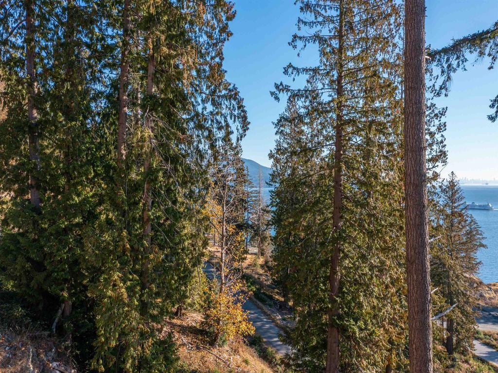 Listing Image for R3004600