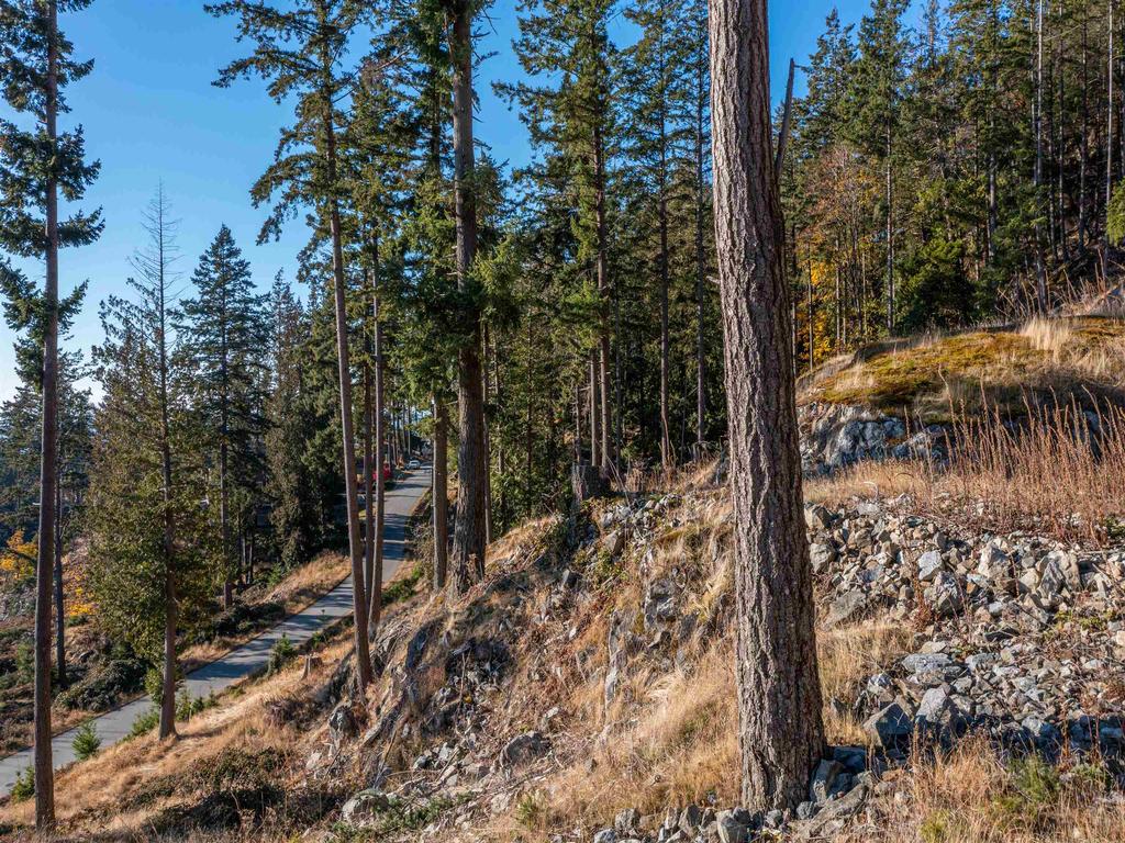 Listing Image for R3004600