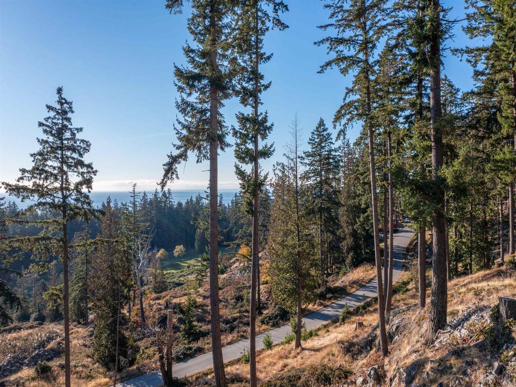 Listing Image for R3004600