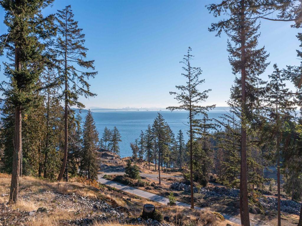 Listing Image for R3004610