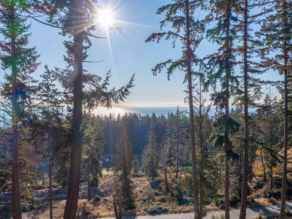 Listing Image for R3004610