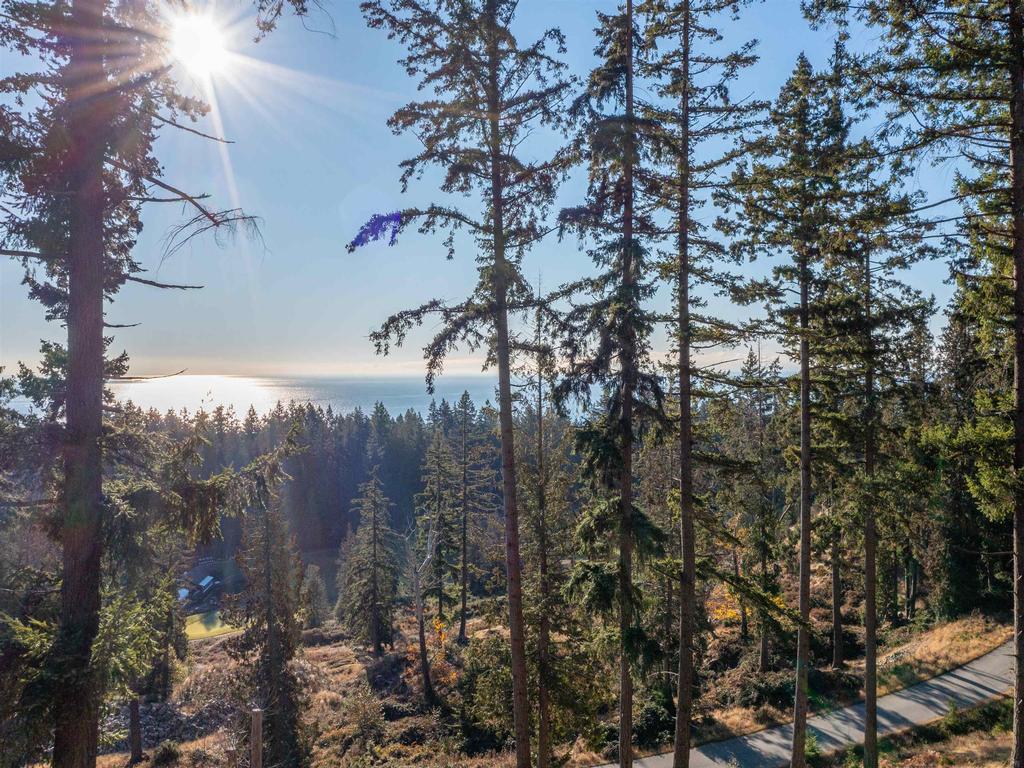 Listing Image for R3004610